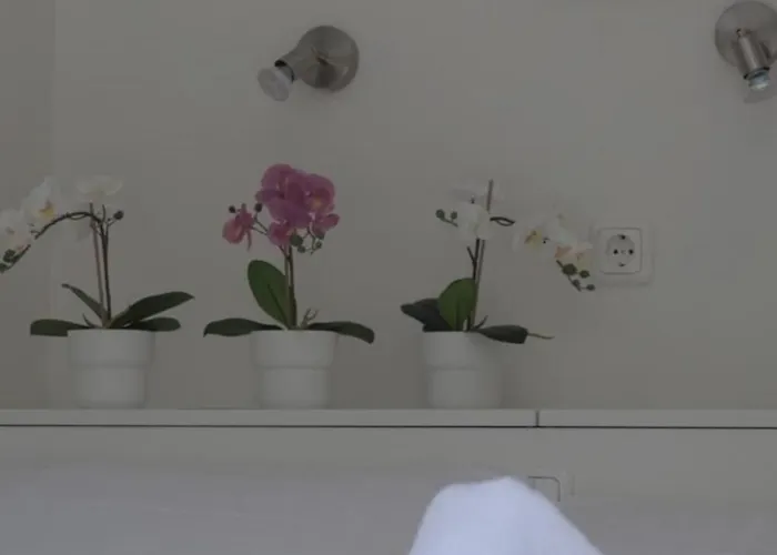 Ботель Hausboot Aquamarin - Lp4 Хокстер